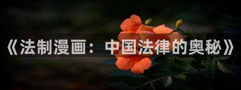 1186391漫画：《法制漫画：中国法律的奥秘》