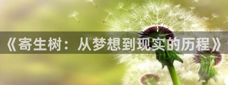 91漫画在线观看入口：《寄生树：从梦想到现实的历程》